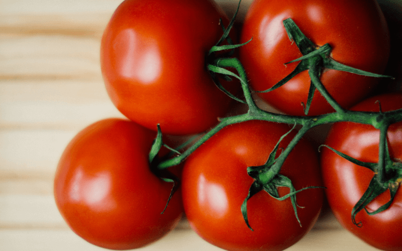 how to store tomatoes