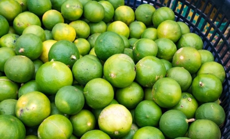 How to Store Limes