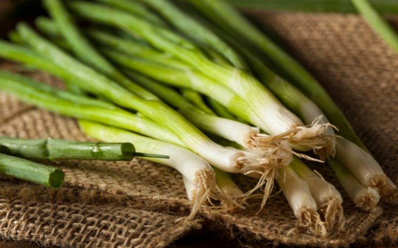 how to store green onion