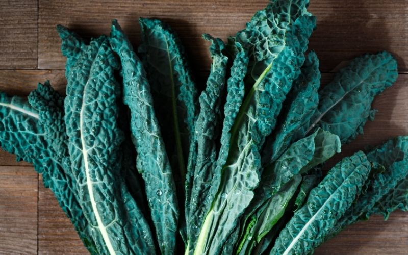 how to store kale