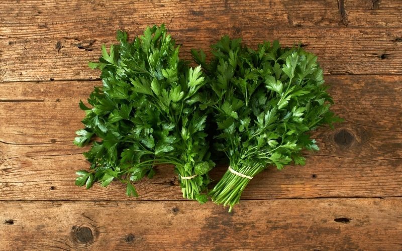 how to store parsley