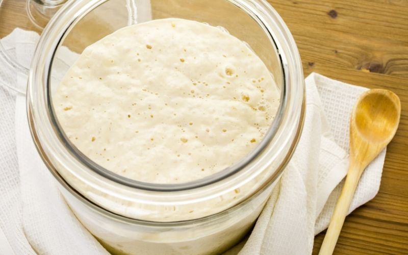 how to store sourdough starter