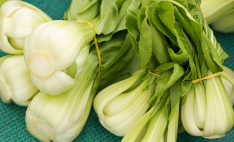How to Store Bok Choy